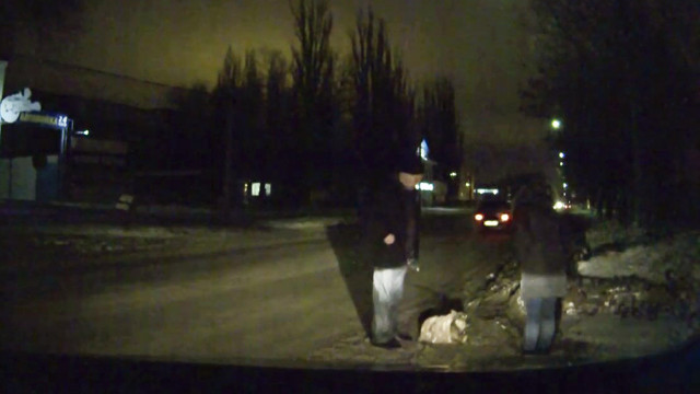 Спасение сбитой дворняги на дороге