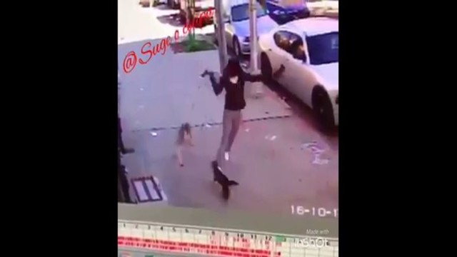  Страшнее кошки зверя нет!