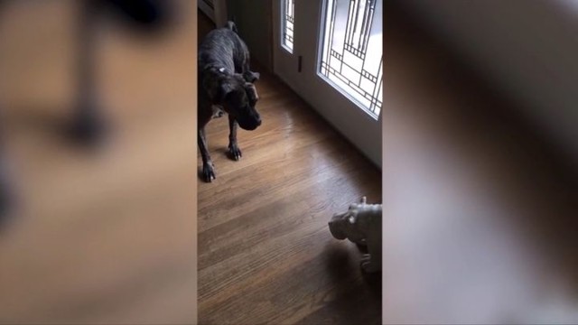  Когда пытаешься быть храбрым