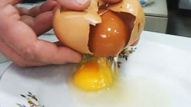Курица снесла слишком большое яйцо и хозяйка решила проверить, что там внутри