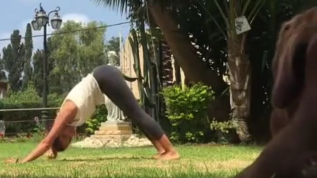 Пёс решил заняться йогой вместе с хозяйкой