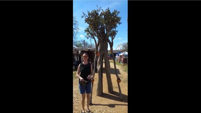 Мужчина соорудил себе крутой костюм дерева для фестиваля и стал похож на энта из «Властелина колец»! 