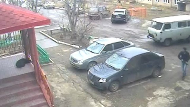 Мужчина застрелил собаку на глазах у детей