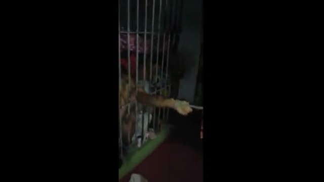 Издевательства над заключенным в бразильской тюрьме