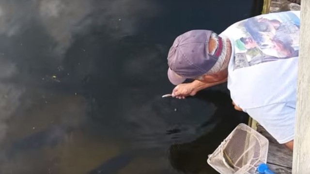 Мужчина поймал рыбу голыми руками