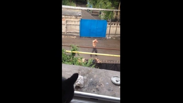 Сосед убил собаку, чтобы накормить своего пса