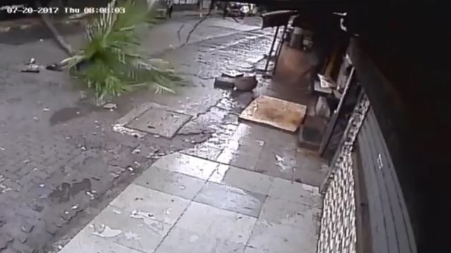 Пальма упала на индийскую телеведущую