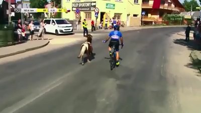Пони присоединился к велосипедной гонке