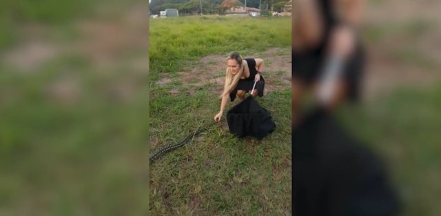 Девушка в платье и на каблуках поймала питона в Австралии