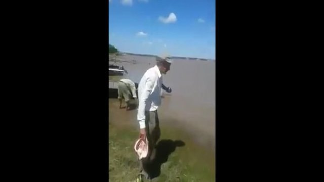 Аргентинец вышел покормить плотоядных рыбок 