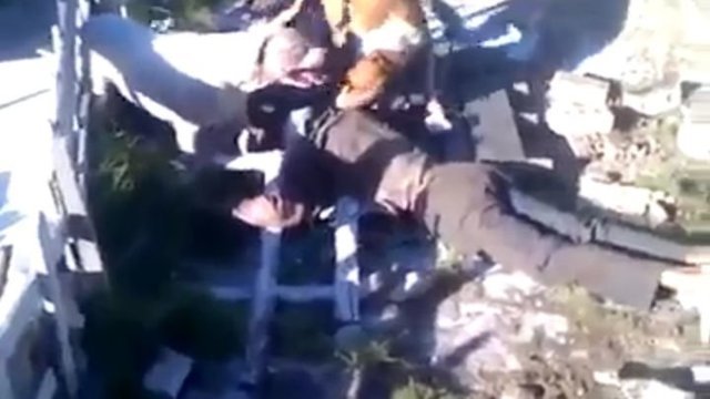 На вора натравили собак