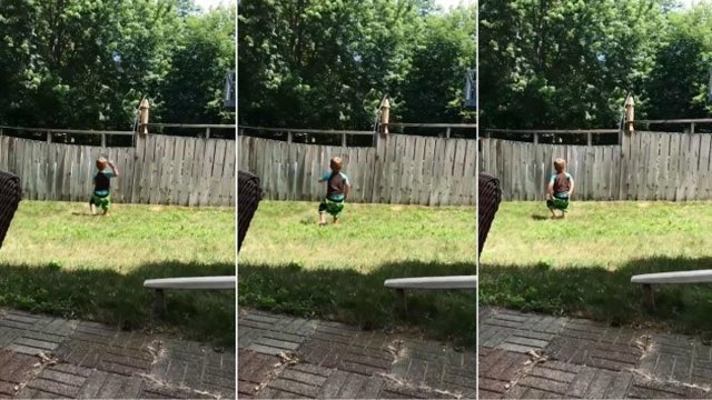 Мальчик и собака играют в мяч через забор