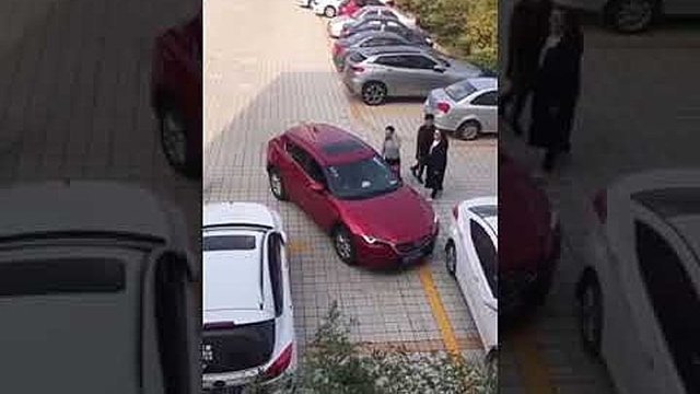 Азиатские дамочки паркуют автомобиль