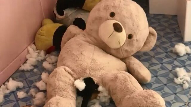 Шокирующее видео с плюшевым медведем