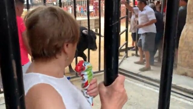 Адреналиновый наркоман в последний момент скрылся от быка 