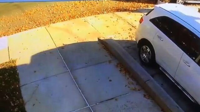 Источник дурно пахнущих сюрпризов был пойман на камеру