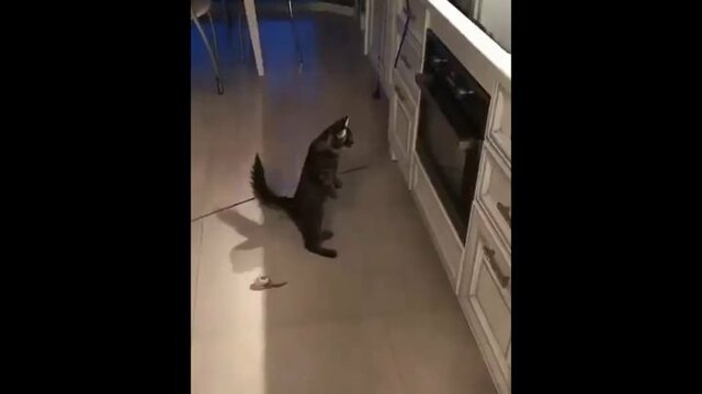 Хозяйка, а скоро будет готово?