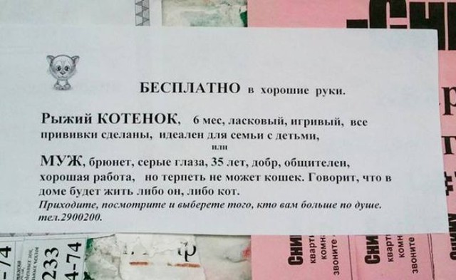 Самые теплые объявления и вывески
