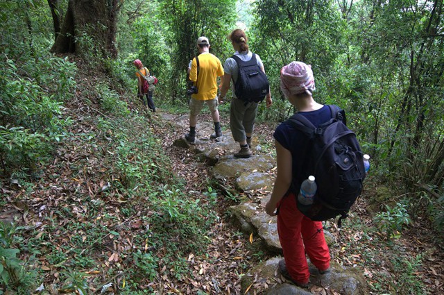 Добыча гималайского мёда