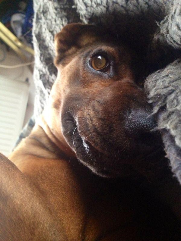 Фотоподборка за 12.09.2013