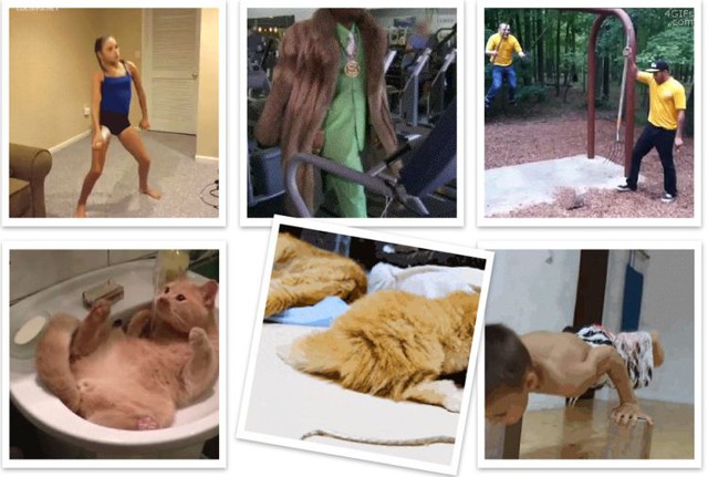 Гифки. Часть 59