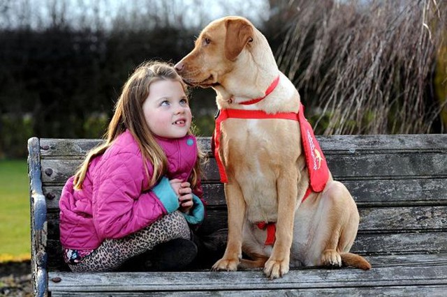 Собака каждый день спасает жизнь своей юной хозяйки