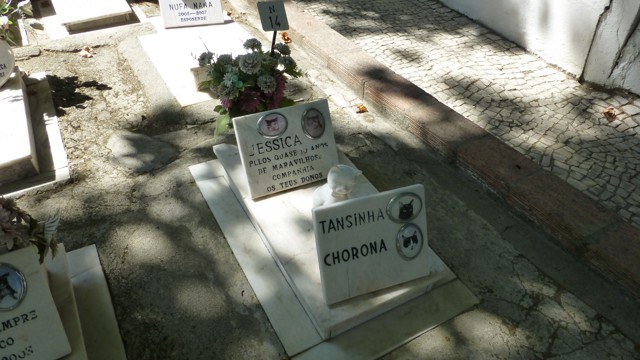 Необычное кладбище...