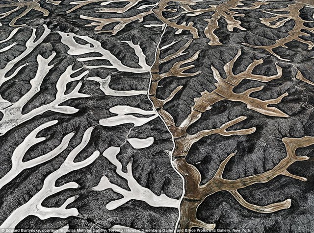 Вода и человек в фотографиях Эдварда Бюртински