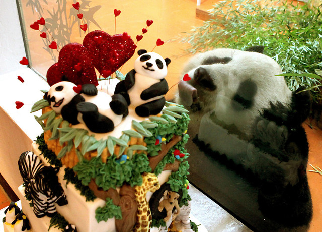 Фотоподборка за 27.09.2013