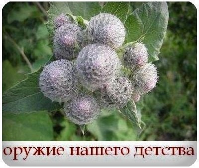 Наше первое в жизни оружие 