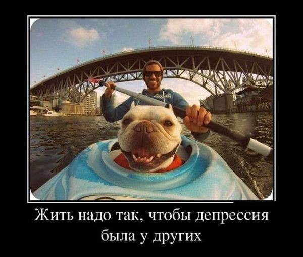 Утро доброе
