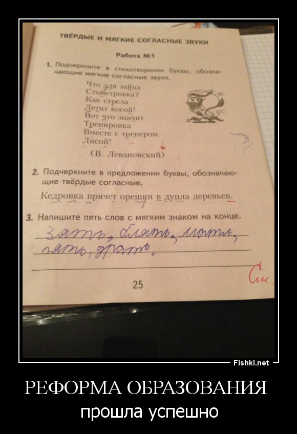 Реформа образования 