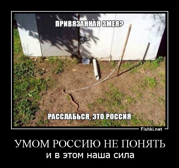 Умом Россию не понять