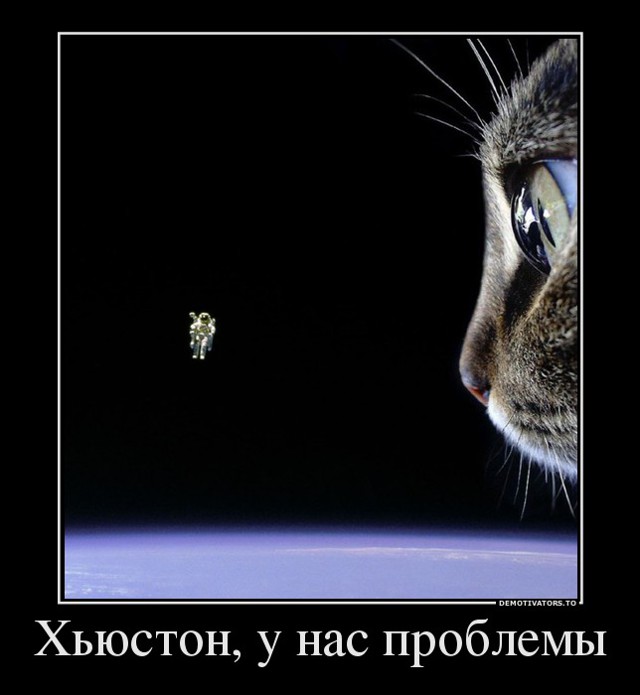 Тебя сломать или повредить кот. У меня проблемы с психикой. Мем все удалилось. Кот гопник. Хьюстон у нас проблемы демотиватор.