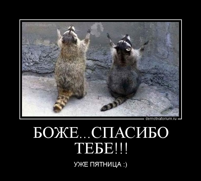 Демотиваторы