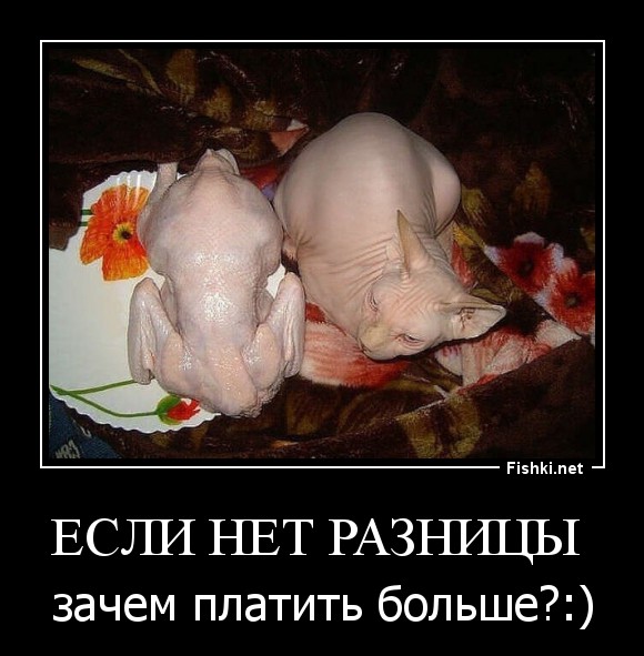 Если нет разницы 