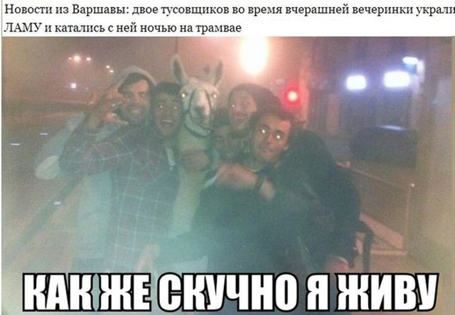 Фишкина солянка. Часть 18