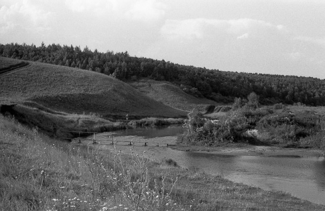  Хорошо в деревне летом ....