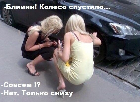 автоприколы