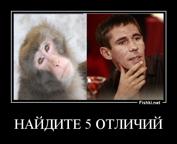 Найдите 5 отличий