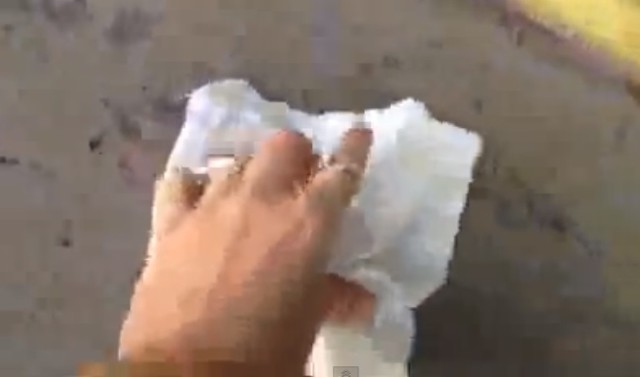 Девушка не захотела убирать за своей собакой.. и пожалела об этом!