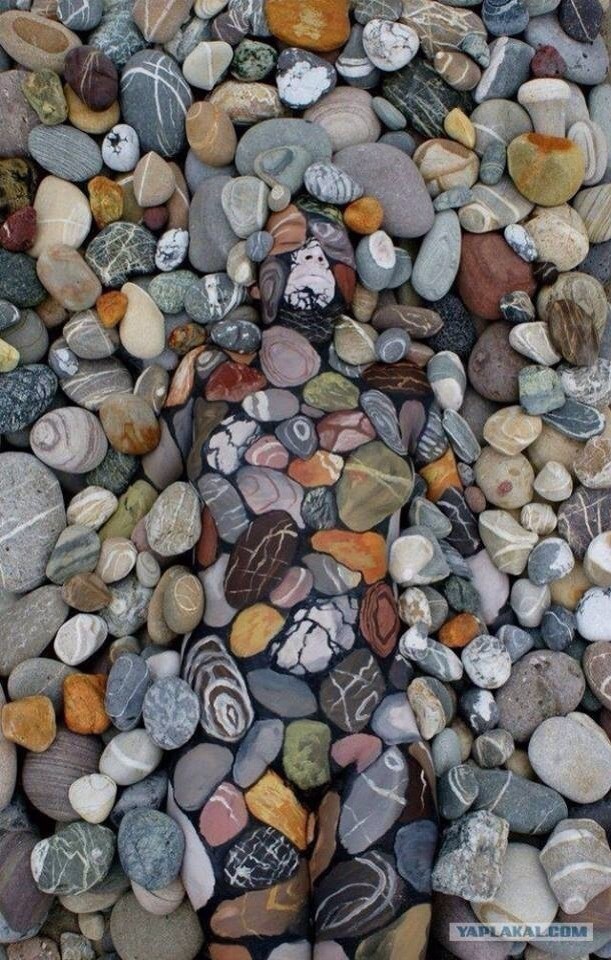 Найдите девушку на фото