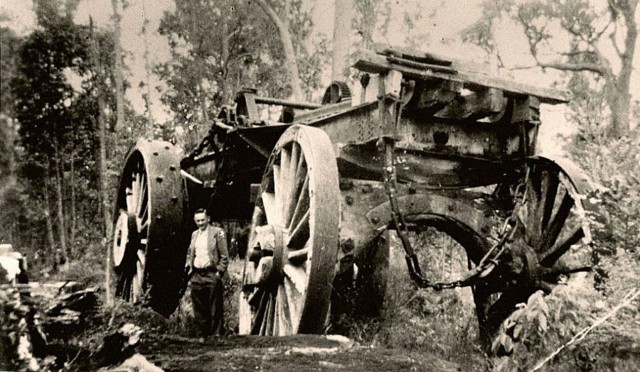 Лесной каприз