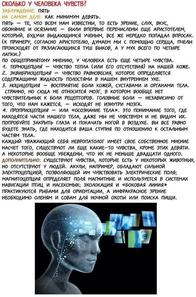 Самые распространенные заблуждения