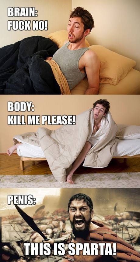 И так каждое утро