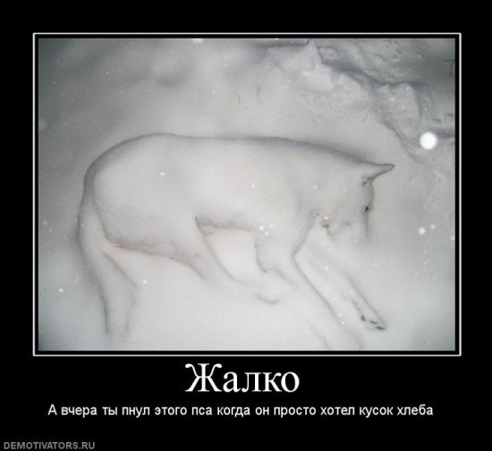 Самый грустный пост