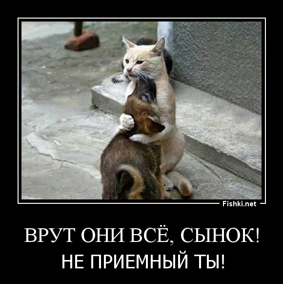 ВРУТ ОНИ ВСЁ, СЫНОК!