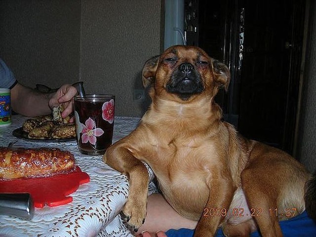 Сфоткай, типа я тут хозяин