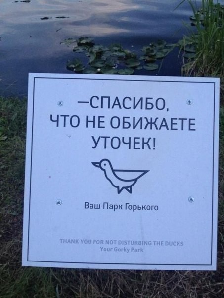 Минуты добра  на Fishki.net