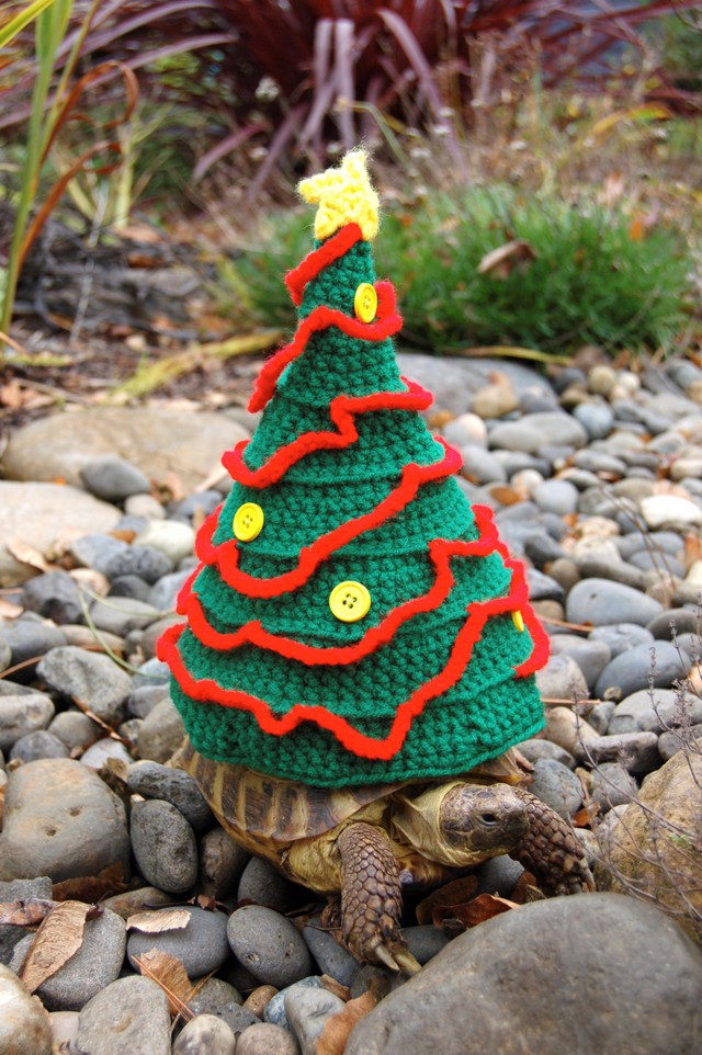 Черепашки в вязаной рубашке